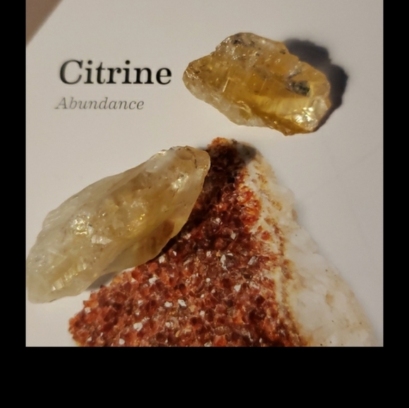 Metabolism-citrine 2 pcs (small) - Picture 4 of 5